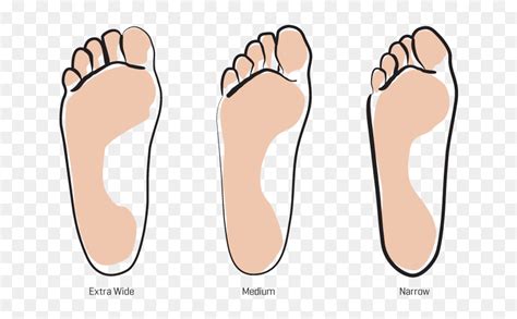 Wide Feet And Narrow Feet Hd Png Download 715x500 Png Dlfpt