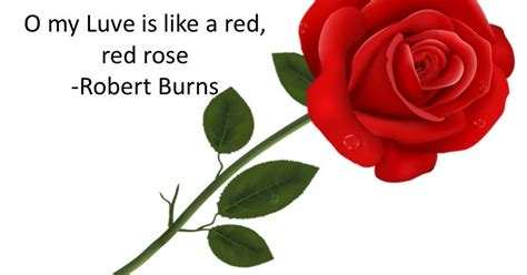 A Red Red Rose Robert Burns