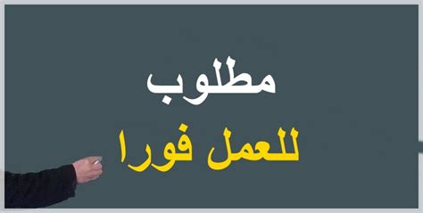 مطلوب لشركة كبري في مجال العاب الاطفال:مبيعات داخليةمكان العمل: مطلوب موظف علاقات عامة | صحيفة المواطن الإلكترونية