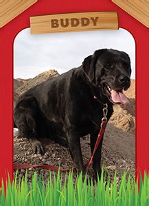 Select a trading card template and customize it. Dog House Template « Custom Trading Cards