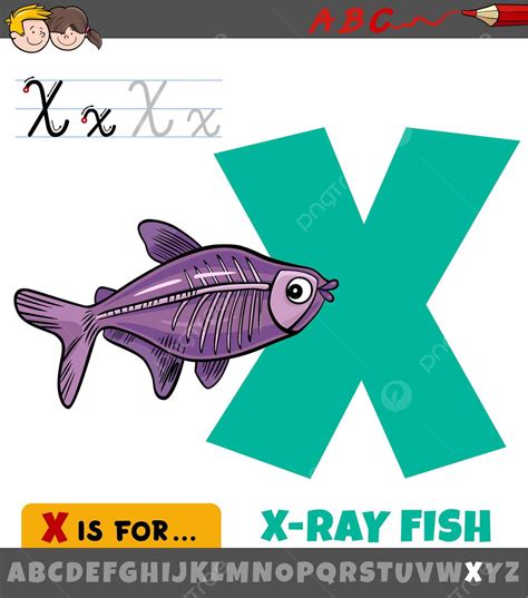 Xray Fish Cartoon Holding Letter X From Alphabet Vector X Ray Fish