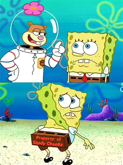 Spongebob Memes On Twitter Reminder Spongebobs Ass Belongs To Sandy
