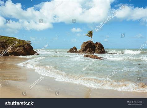 Photo De Stock Tambaba Beach Official Naturistnudist Beach Brazil Shutterstock