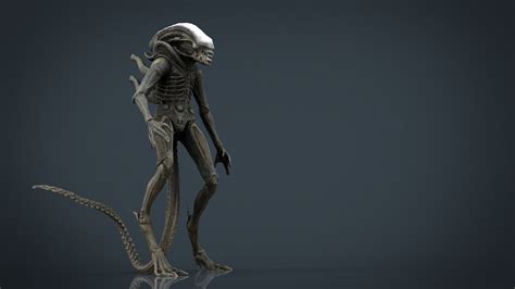 Alien Xenomorph 3d Model Cgtrader