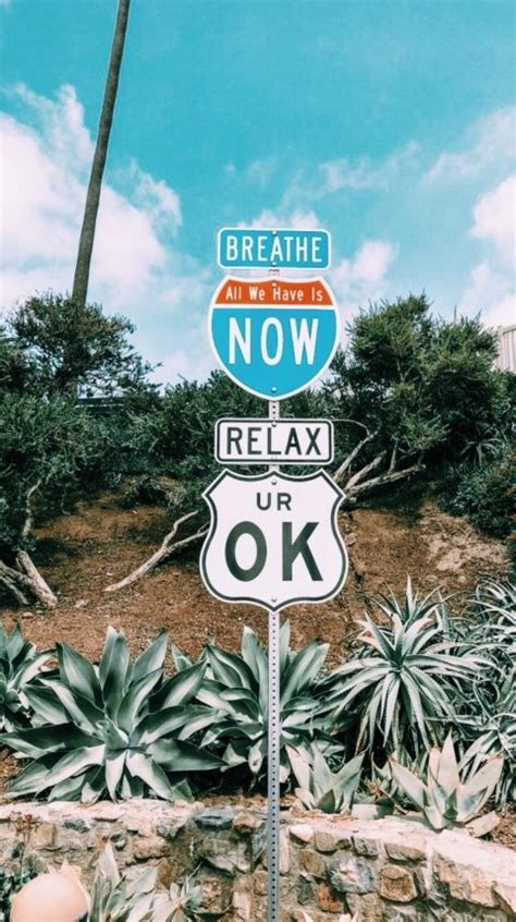 Summer wallpaper summertime vibes good vacation islands vibes tropical islands sunshine watermelon sunny day tropical. VSCO - fatmoodz | Photo wall collage, Aesthetic wallpapers ...