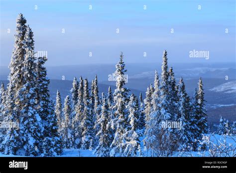 Fairbanks Alaska High Resolution Stock Photography And Images Alamy