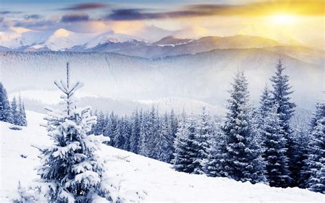 47 Winter Scenery Desktop Wallpaper On Wallpapersafari