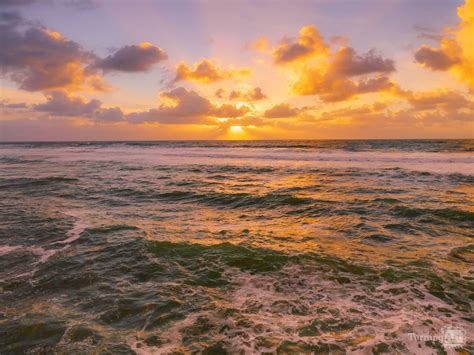 Golden Sunset In Ocean Beach San Diego By Brian Mcclean Turningart