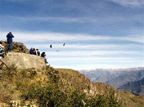 Colca Canyon Tour From Arequipa To Cusco 3 Days 2 Nights Green Peru