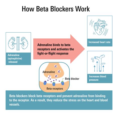 What Are Beta Blockers