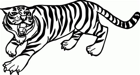 Tiger Ausmalbilder für Kİnder Tiger drawing coloring pages