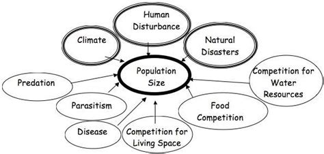 A Representation For The Population Limiting Factors Download