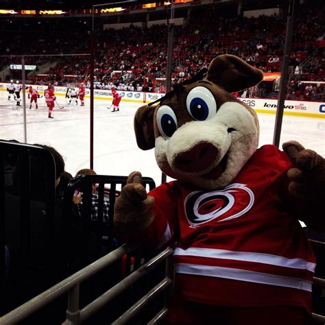 Find new carolina hurricanes apparel for every fan at majesticathletic.com! NHL Carolina Hurricanes Mascot "Stormy" A New ROCKET Dryer ...