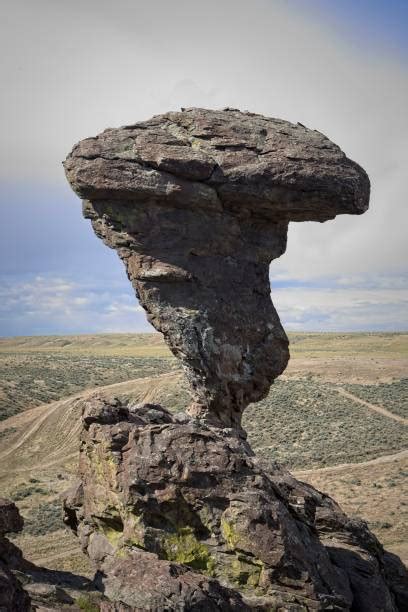 10 Balance Rock Idaho Stock Photos Pictures And Royalty Free Images