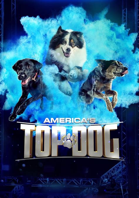 Americas Top Dog Staffel 2 Jetzt Stream Anschauen