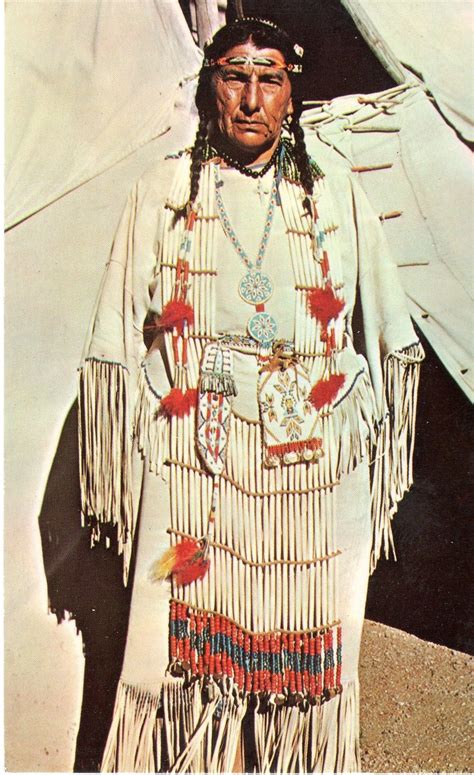 Postcard Of Native American Indian Louise Plentyholes Oglala Sioux Pineridge Res Native