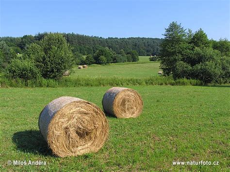Cele mai bune oferte de vacanta balneo ungaria. Ungaria Fotografii, Poze
