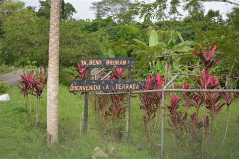 Costa Rican Supreme Court Upholds Indigenous Rights to Land | Cultural