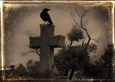 Old Sepia Graveyard Crow Photograph By Gothicrow Images Fine Art America