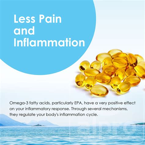Understanding what makes the best fish oil: Thc Pristin Fish Oil 2x150s With 30s - Malaysia's Best ...