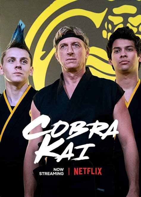 Serie Cobra Kai Temporada 3 Estreno Netflix Enero 2021