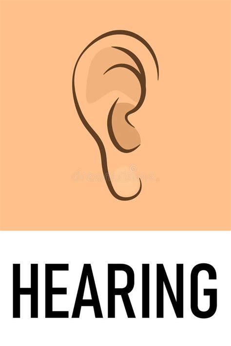 Hearing Sense Icon Stock Vector Illustration Of Vector 76695998