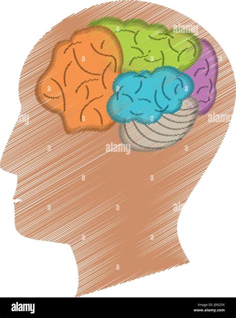 Drawing Profile Head Brain Stock Vector Image And Art Alamy