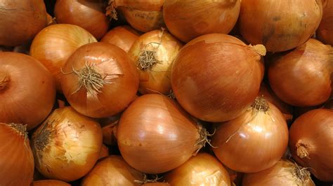 Fresh Onions Free Stock Photo Public Domain Pictures