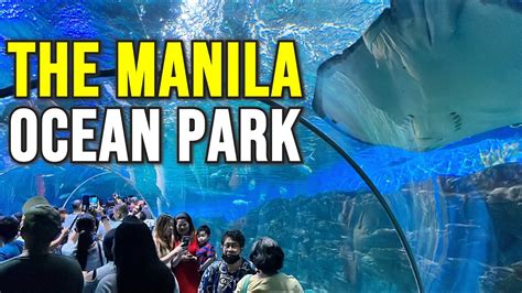 Manila Ocean Park Tour 2023 The Amazing Oceanarium Tourist Attraction