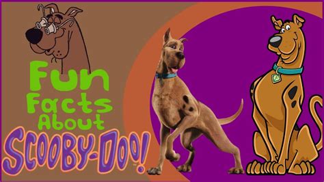 Fun Facts About Scooby Doo YouTube