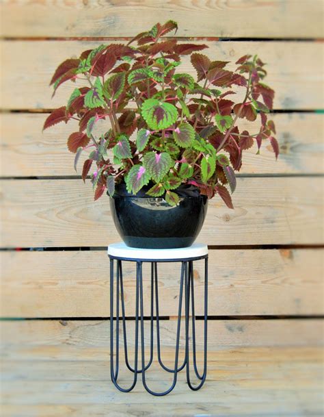 Diy mid century modern plant stand/ planter. These 13 Modern Plant Stands Put Your Favorite Plants On ...