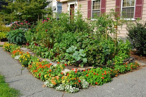 Create Vegetable Garden In Your Front Yard Vegetable Garden Garden Yard