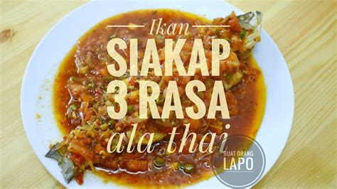 Kalau ikan bawal, selain masak kicap (ni dalam kategori masak yang cepat), masak 3 rasa, masak sweet sour atau masam manis antara yang sering menjadi 3/4 camca besar cili kisar 1/4 cawan cili sos sedikit air garam secukup rasa hirisan daun bawang untuk hiasan hirisan cili merah untuk hiasan. Resepi Siakap Tiga Rasa ala Thai - YouTube