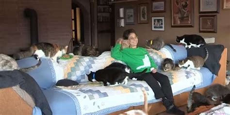 Woman With 1100 Cats Is The Ultimate Cat Lady The Dodo