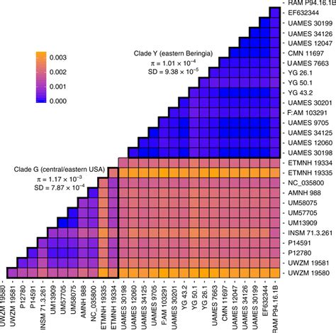 Pairwise Genetic Distance Heatmap For All Samples In Clades Y And