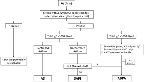 The Spectrum Of Pulmonary Aspergillosis Respiratory Medicine