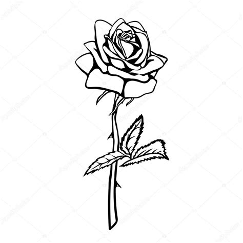 Lista 9 Foto Rosas Dibujadas En Blanco Y Negro Alta Definición Completa