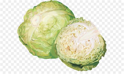 Vitamin k yang dikandungnya juga dapat meningkatkan. Kubis, Sayuran, Kembang Kol gambar png
