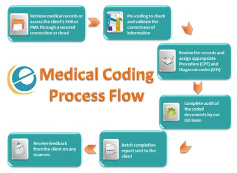 A Visual Guide To Medical Coding Top Medical Coding Schools