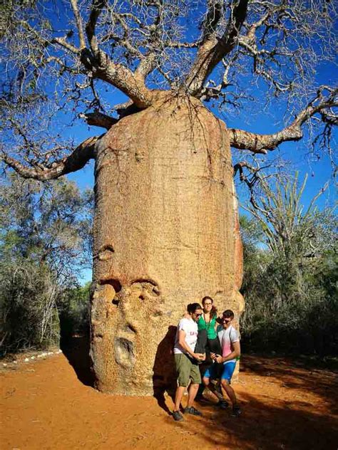 4006, ambohijatovo, ivandry, antananarivo 101, madagascar. Top10: que hacer en MADAGASCAR | ¡A tomar por mundo!