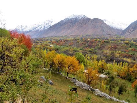 Odisha's largest media house that also publishes daily. Gorgeous Photos of Afghanistan's Peaceful Landscapes ...