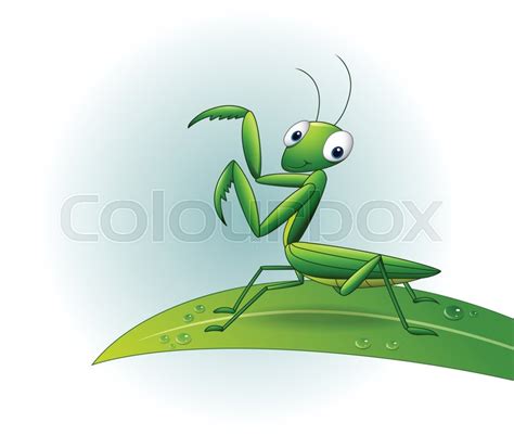 Illustration Of Cartoon Praying Mantis Stock Vector
