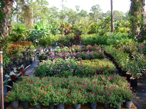 Which type of plants should you choose? Bongard Landscaping- Our Nursery and On-site Grown Plants