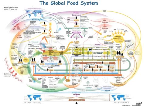 Llcc Green The Global Food System