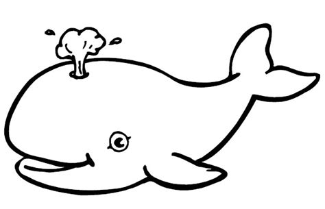 Whale Animal Coloring Pages