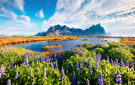 Summer In Iceland Why Its The Best Time To Visit The Island
