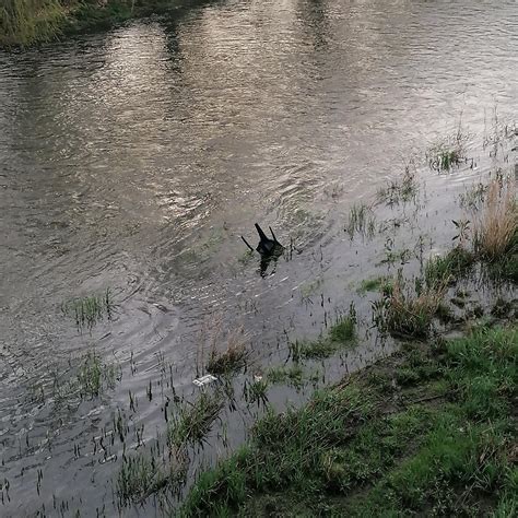 River Chair : r/chairsunderwater