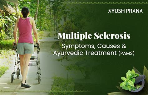 Multiple Sclerosis Causes Symptoms And Ayurvedic Treatment Pams