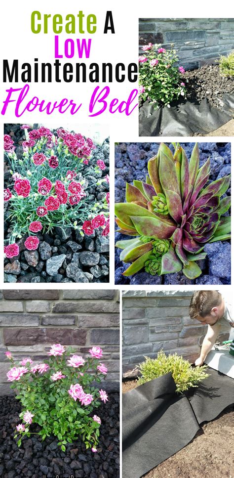 You likely have them right outside your property. Flower bed & Landscape Part 2: The Reveal | Flower bed ...