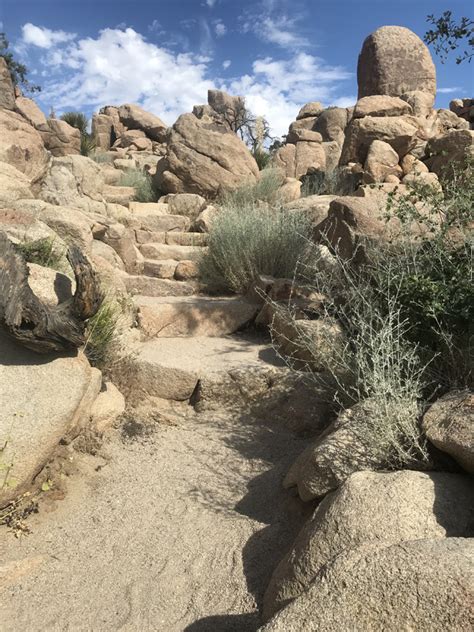 The joshua tree, for which the park is named, grows only in the higher elevation mohave desert in the western half of the park. How to Plan a Terrific Joshua Tree Camping Escape - in the ...